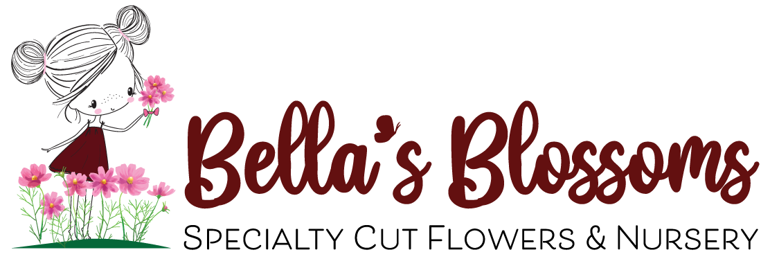 Bella's-Blossoms-Logo-Mockup-Design---Final-large-v4